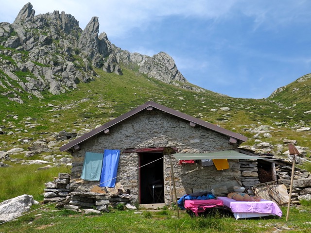 Stacks Image 139