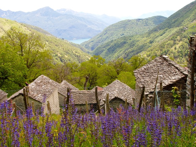 A short written description about the image. Very good for accessibility, AL machine learning and search engine optimisation.