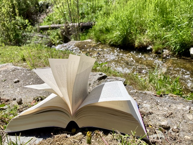 A short written description about the image. Very good for accessibility, AL machine learning and search engine optimisation.