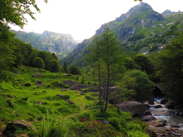 A short written description about the image. Very good for accessibility, AL machine learning and search engine optimisation.