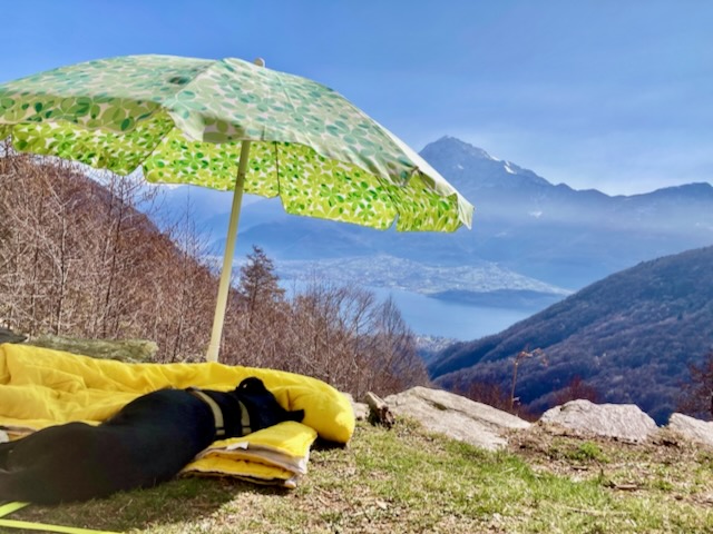 A short written description about the image. Very good for accessibility, AL machine learning and search engine optimisation.