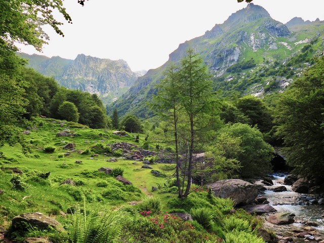 A short written description about the image. Very good for accessibility, AL machine learning and search engine optimisation.