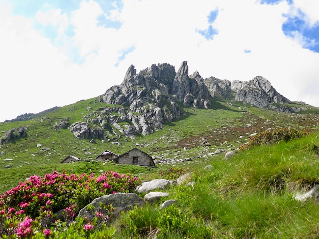 A short written description about the image. Very good for accessibility, AL machine learning and search engine optimisation.