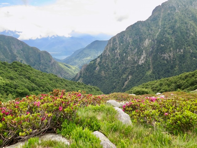 A short written description about the image. Very good for accessibility, AL machine learning and search engine optimisation.