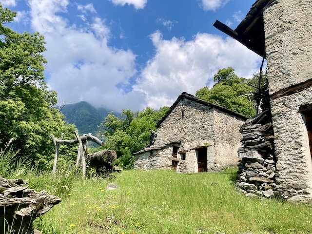 A short written description about the image. Very good for accessibility, AL machine learning and search engine optimisation.