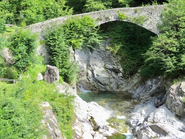 A short written description about the image. Very good for accessibility, AL machine learning and search engine optimisation.